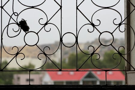 Lattice view town