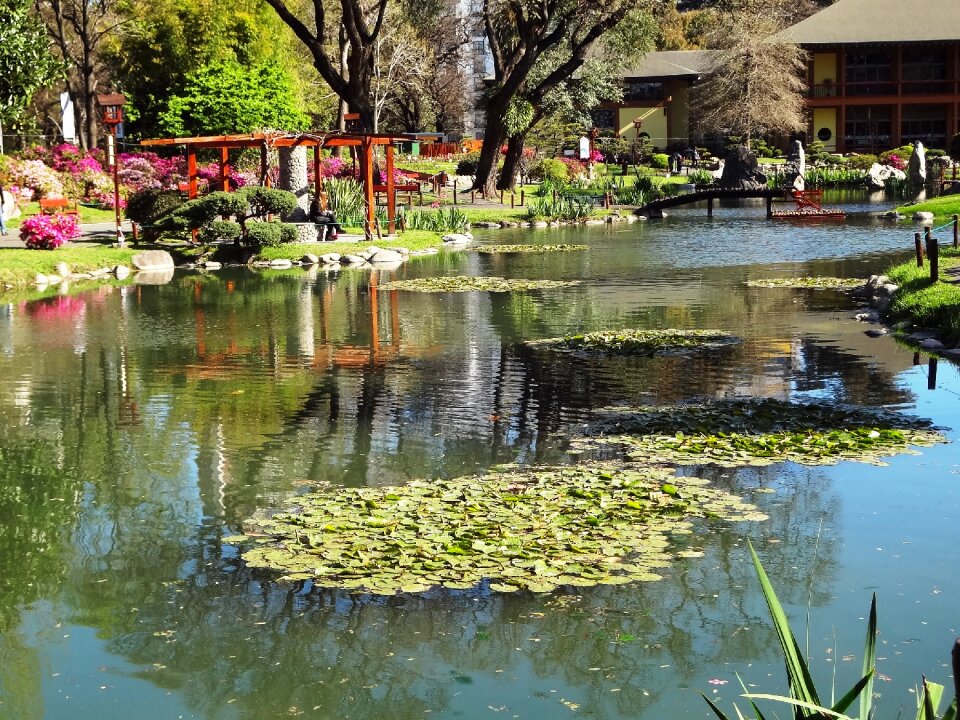 Lake japanese garden buenos aires