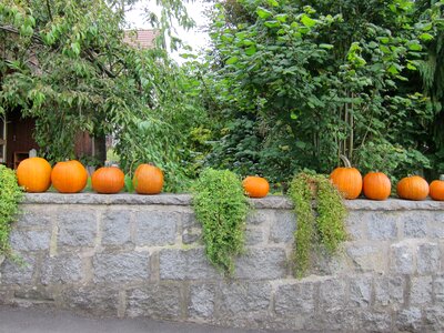 October fall