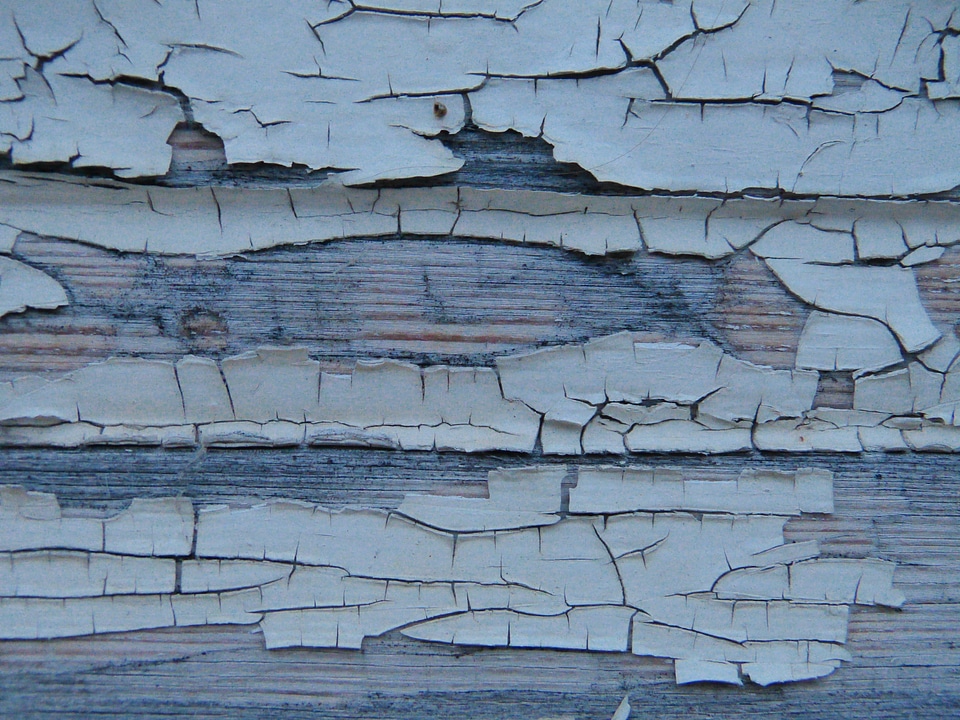 Old weathered garden