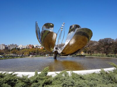 Floralis generica buenos aires palermo photo