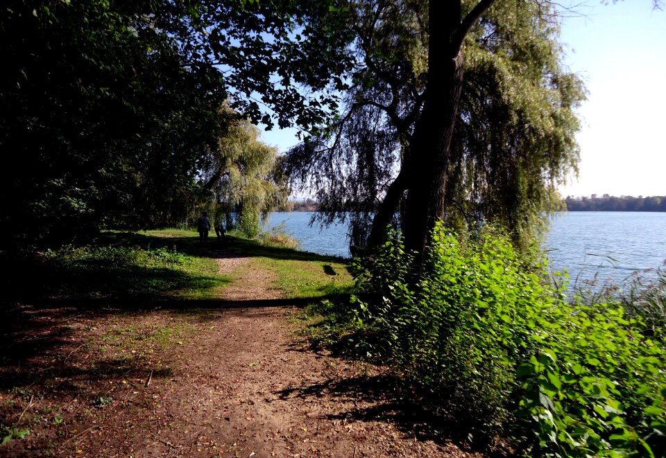 Walk recovery rest