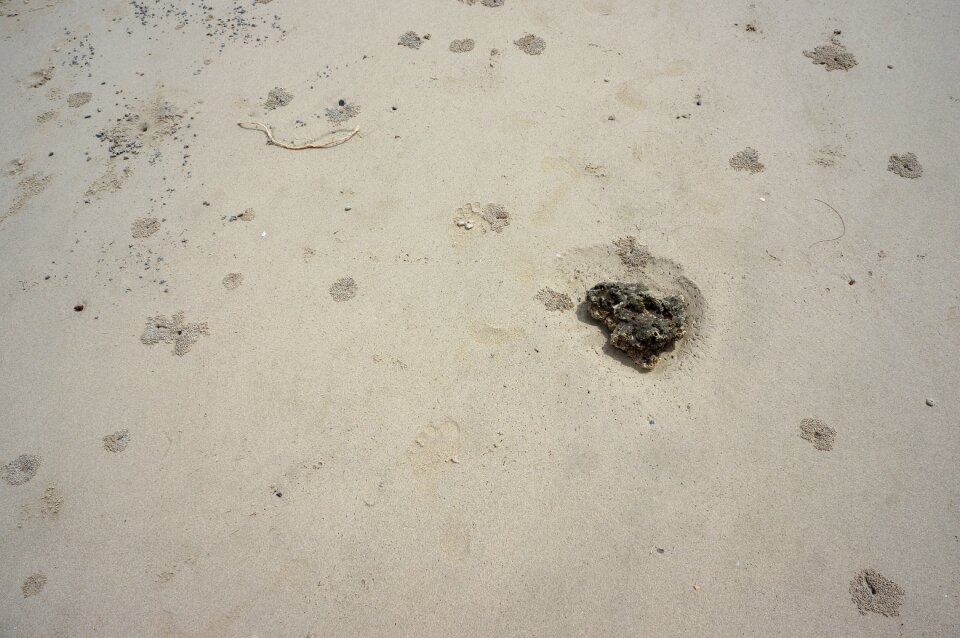 Sandy beach surface print