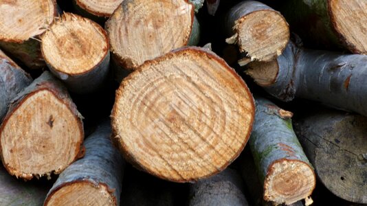 Wood fireplace tree