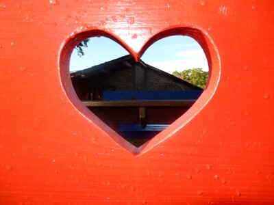 Wood red detail