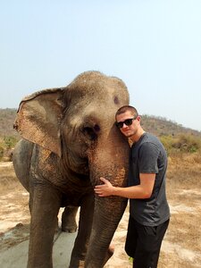 Nature animal wild