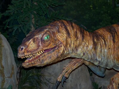Prehistoric carnivorous museum