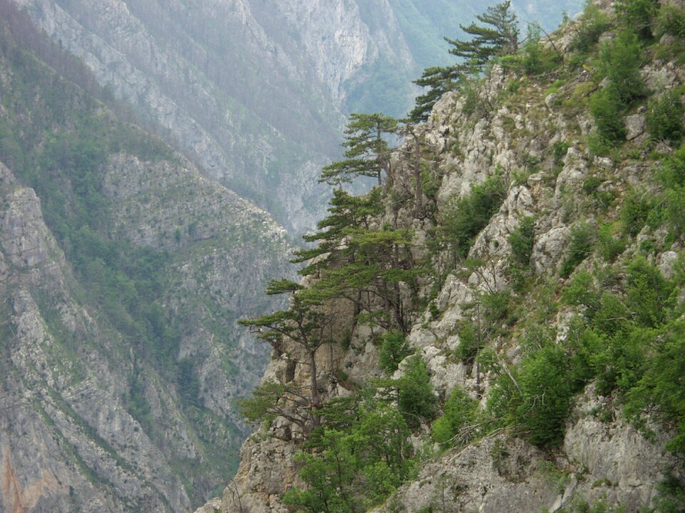Canyon landscape gorge