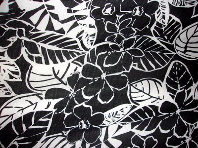 Black and white floral drawing photo