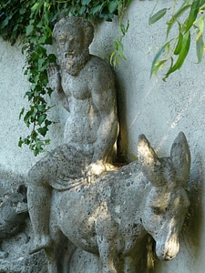 Animal person ride