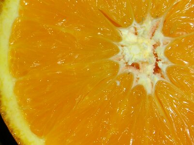 Background fruit texture
