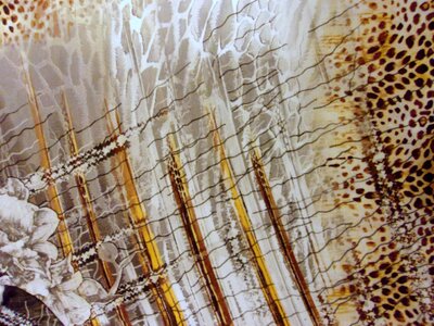 Leopard texture background