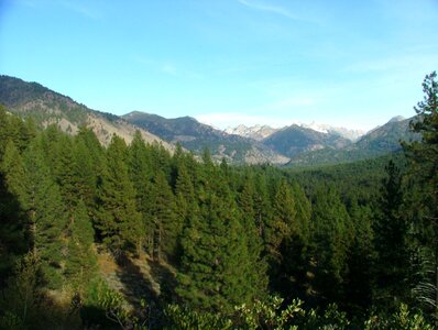 Scenic forest idaho