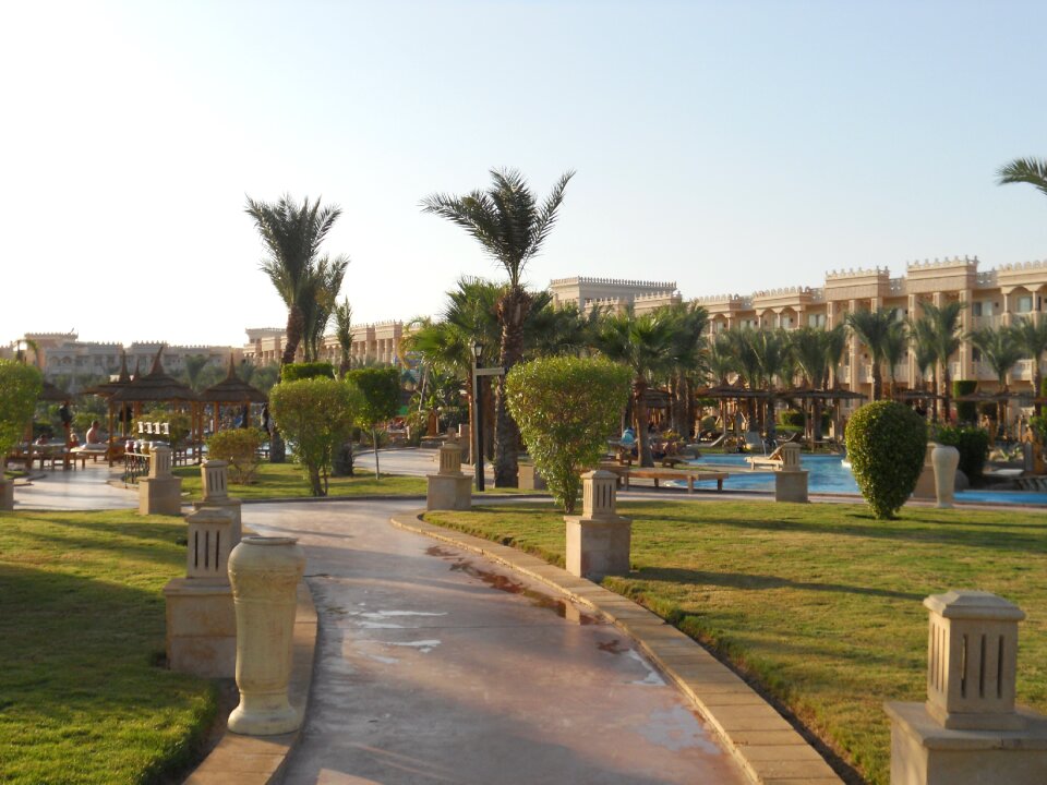 Summer hotel trees