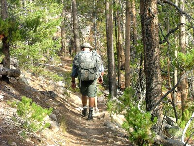 Pack trekking
