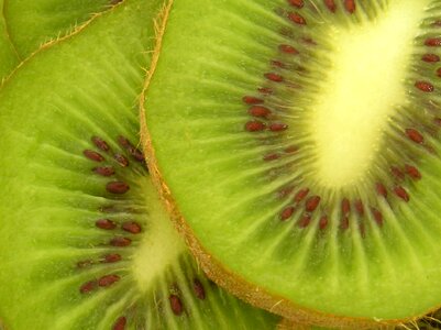 Green nature kiwi