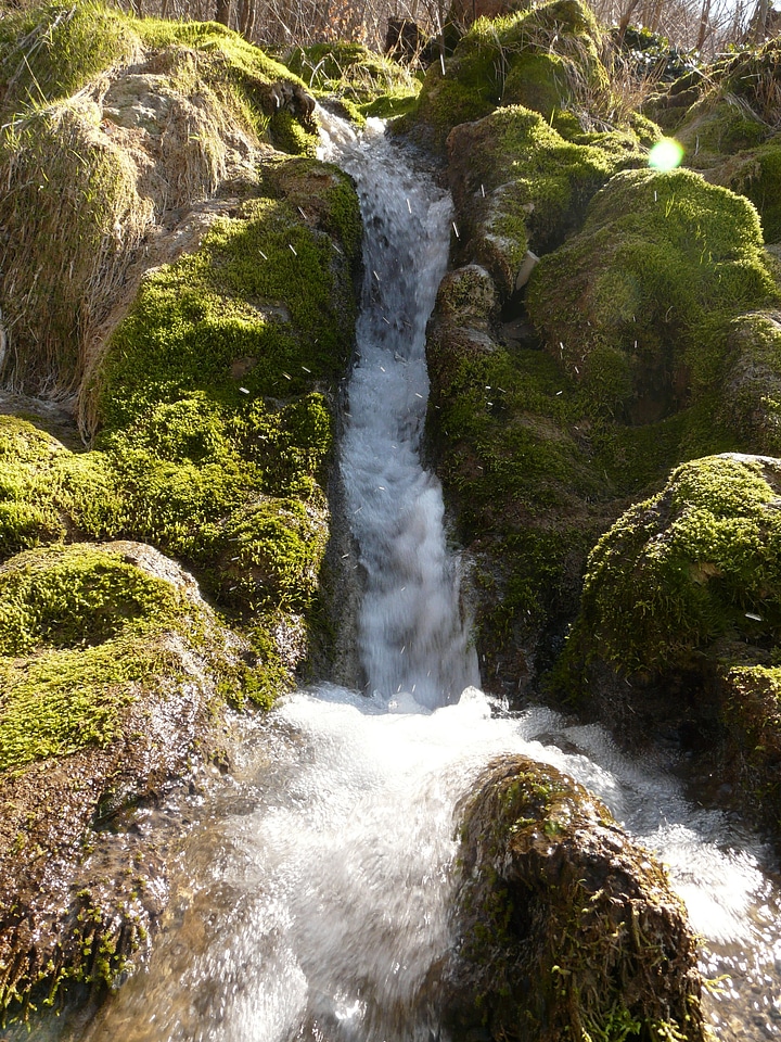 Water bubble tufa