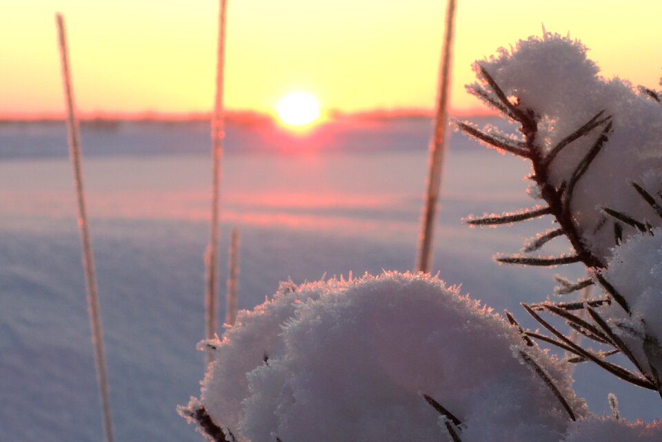 Winter sun sunset
