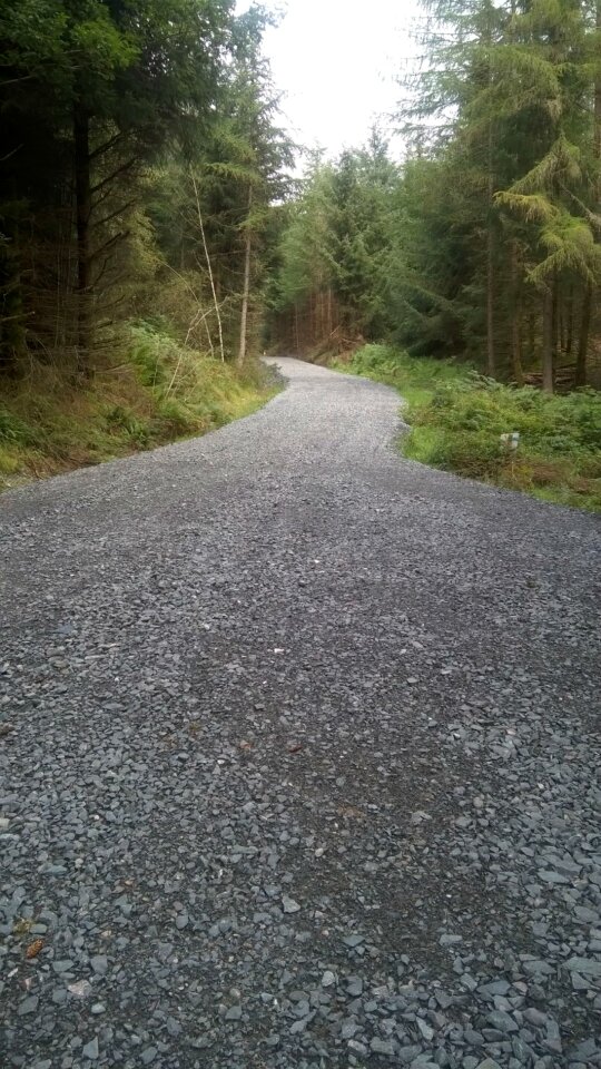 Footpath scottish nature