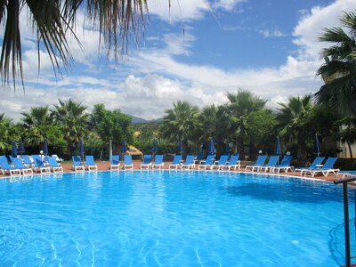 Palm trees resort hotel photo