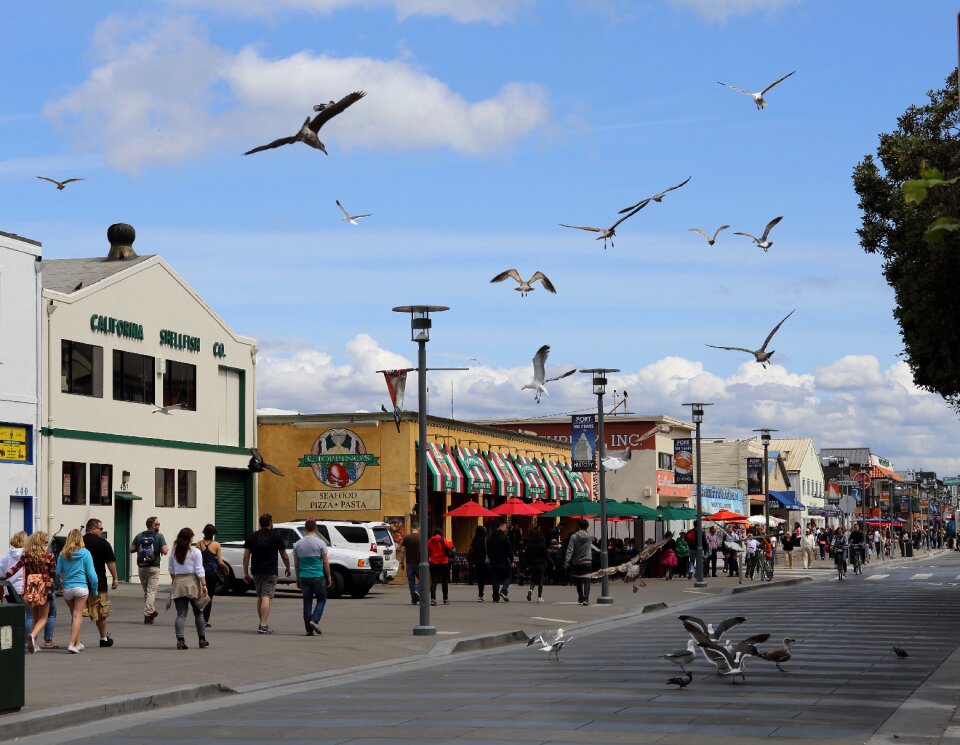 Tourism promenade walk