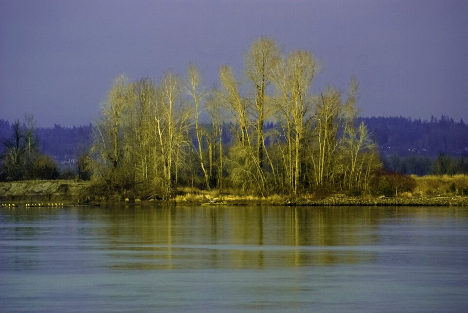 Color sauvie island oregon