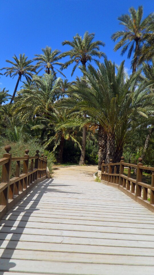 Summer wood holiday