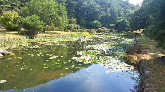 Landscape river park