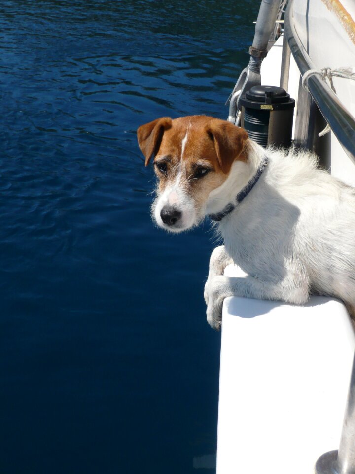 Sea boat water