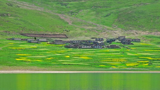 Landscape agriculture color photo