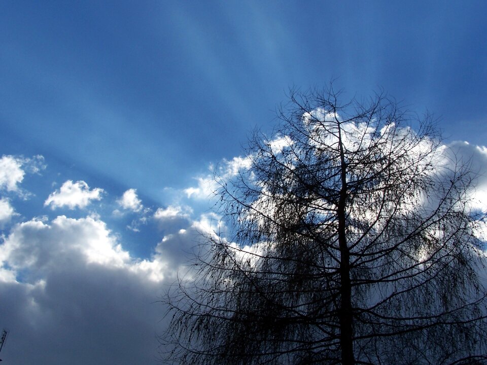 Clouds tree dark