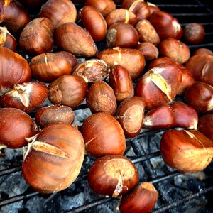 Magosto autumn embers