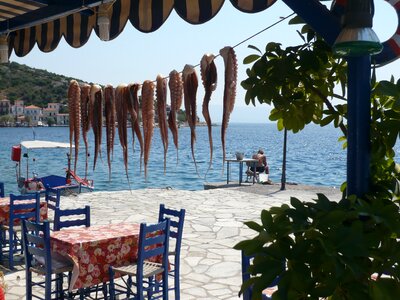 Octopus sea view summer