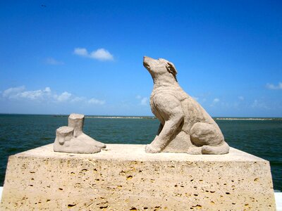Sky sculpture animal