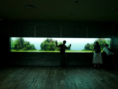 Dark aquarium zoo