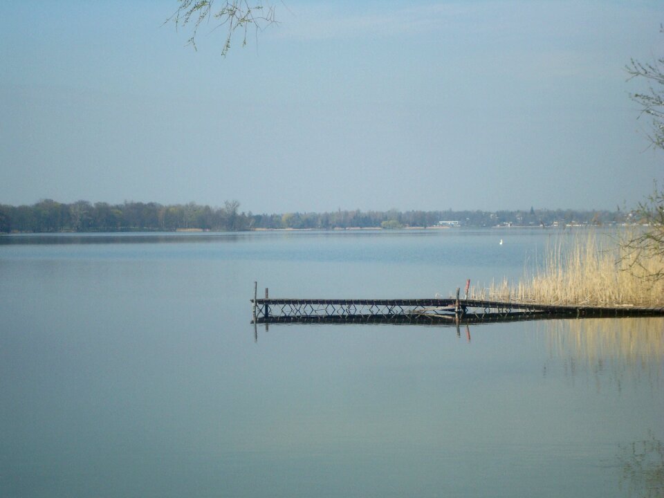 Forest park summer