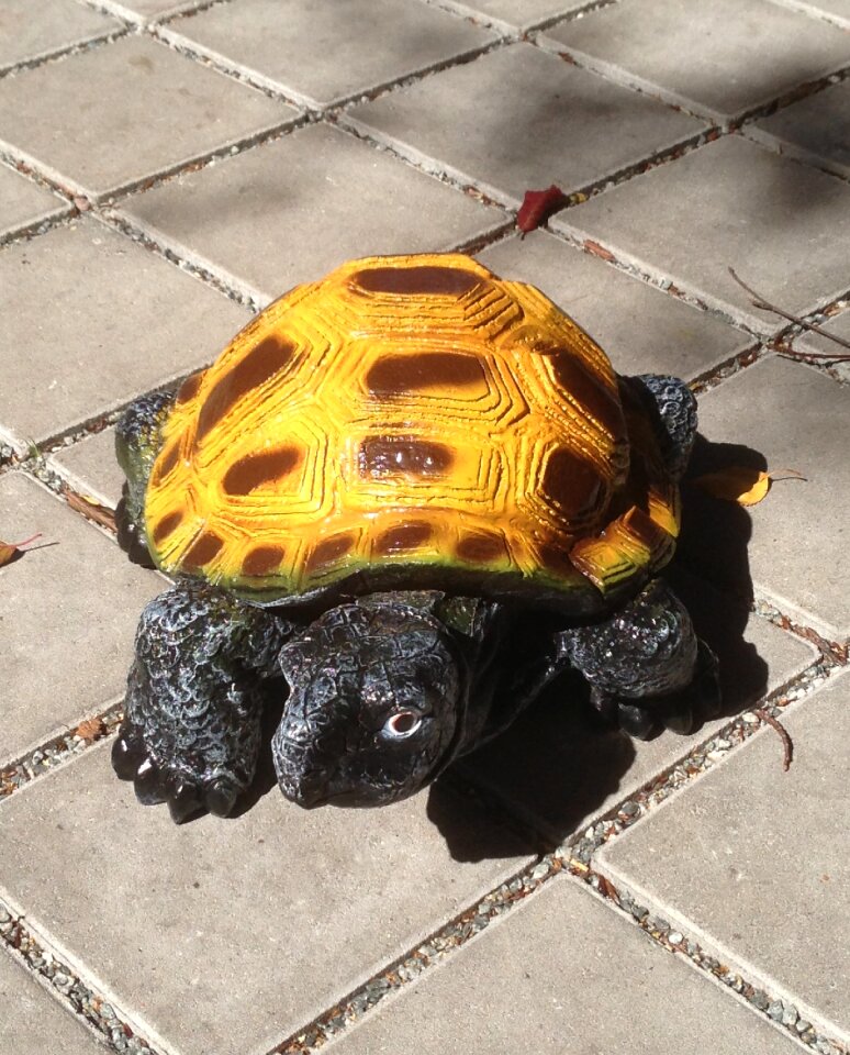 Reptile slowly ornament