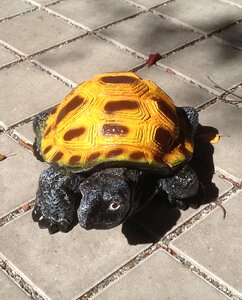 Reptile slowly ornament