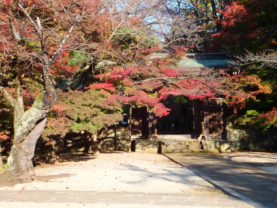 Wood monument temple