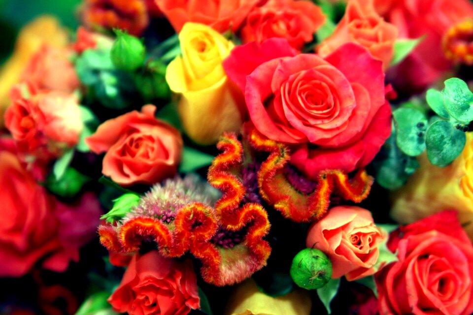 Romantic floral romance