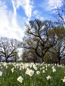 Spring landscape easter photo