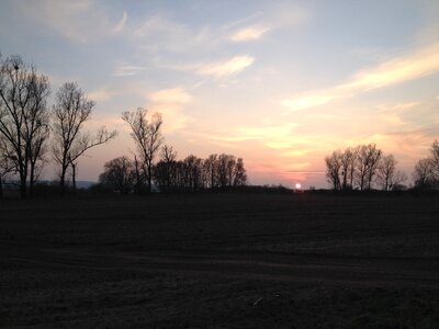 Landscape agriculture nature