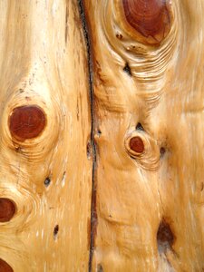 Wood texture background orange wood