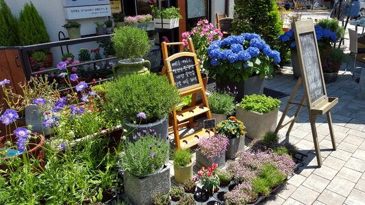 Cheonan asan mediterranean street photo