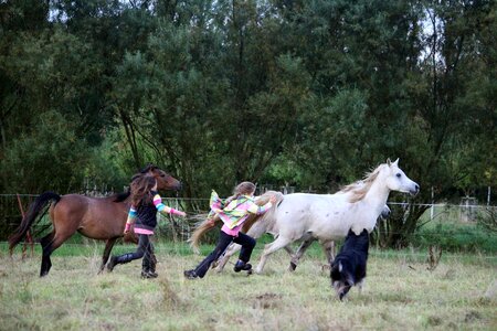 Play race pasture