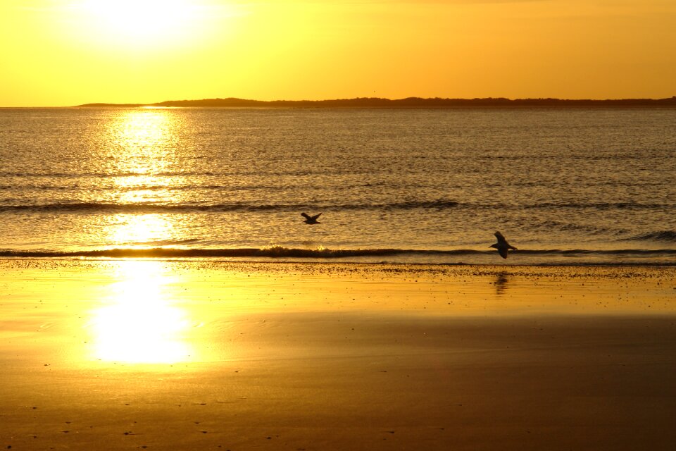 Beach golden north sea
