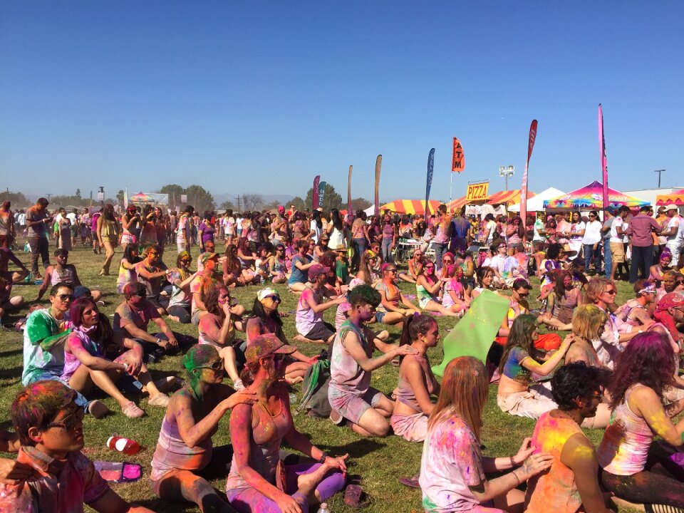Festival holi festival powder