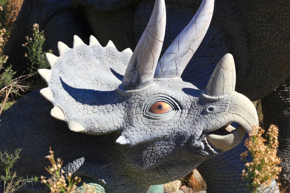 Fossil reptile animal