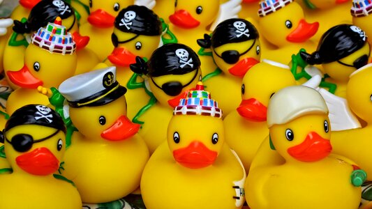 Fun toy duck fun bathing