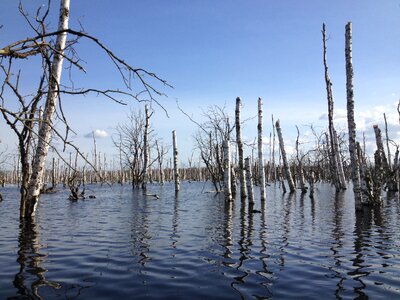 Bank water river landscape
